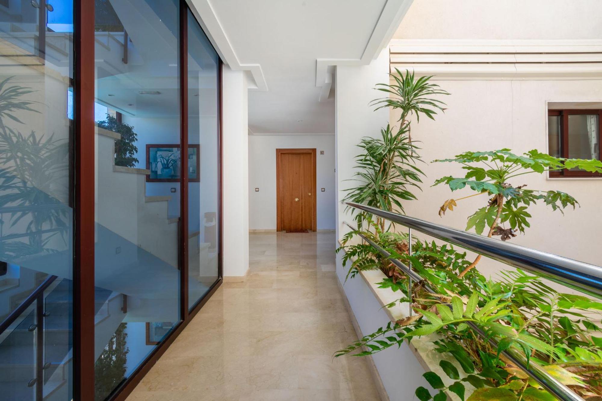 Apartamentos Albir Confort 2 Dormitorios El Albir Eksteriør billede